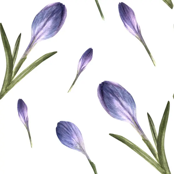 Akvarell Tidig Vår Växt Krokusar Primära Blommor Saffran Sömlöst Mönster — Stockfoto