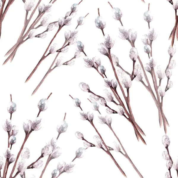 Watercolor Spring Seamless Pattern Pussy Willow Tree Branches Springtime Plant — Stockfoto