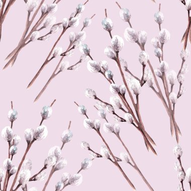 Watercolor spring seamless pattern of pussy willow tree branches. Springtime plant. Easter, Palm Sunday religious Christian symbol, fabric print. Hand drawn illustration. Isolated coloured background