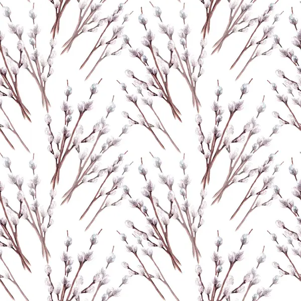 Watercolor Spring Seamless Pattern Pussy Willow Tree Branches Springtime Plant — Stock fotografie