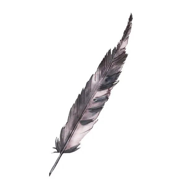 Černobílé Ptačí Pírko Inkoustovou Grafickou Linkou Ruční Kreslení Akvarelu Kliparty — Stock fotografie