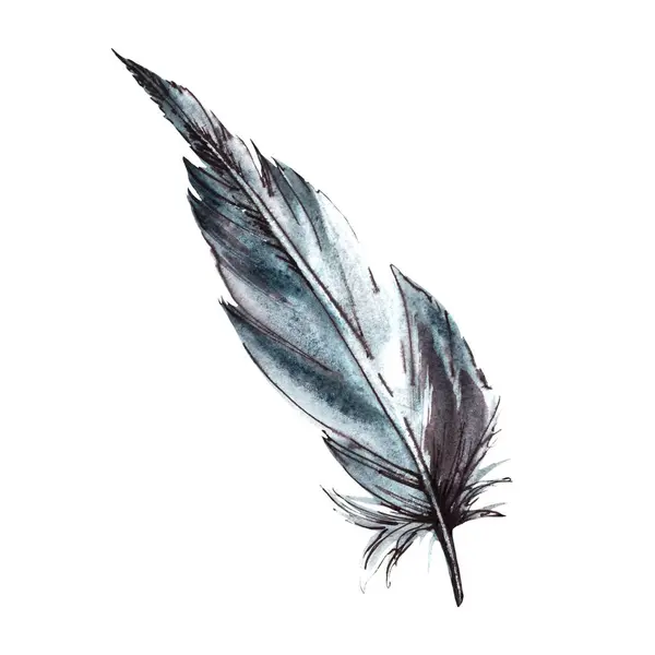 Černobílé Ptačí Pírko Inkoustovou Grafickou Linkou Ruční Kreslení Akvarelu Kliparty — Stock fotografie