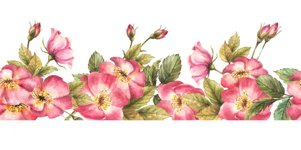 Borde Sin Costura Floral Acuarela Patrón Rosa Silvestre Rama Rosa —  Fotos de Stock