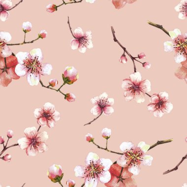 Ağaç, sakura, kiraz tomurcukları ve çiçeklerin suluboya dalları dikişsiz bahar çiçekleri, bahar dönemi suluboya klipleri kumaş baskısı için izole edilmiş resimli arkaplan