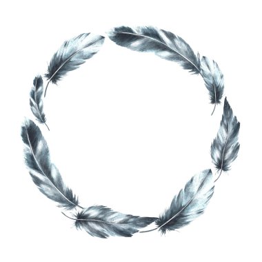 Suluboya tek renkli çelenk, dairesel çerçeve. Gölgeli kuş grisi tüyler, doğal süsler. El çizimi gerçek kanatlar. İzole edilmiş beyaz arkaplanı yazdırmak için tırman