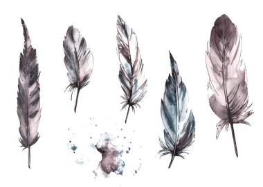 Tek renkli kuş tüyleri. Grafik çizgisi, suluboya grisi, siyah granül lekesi, fırça darbesi. Gerçek kanatlar. El çizimi çizimi. Logo, baskı ve çıkartma için tırman. İzole edilmiş beyaz arkaplan