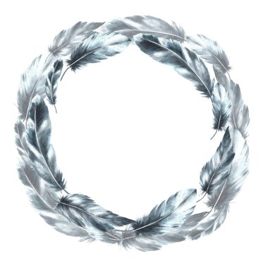 Suluboya tek renkli çelenk, dairesel çerçeve. Gölgeli kuş grisi tüyler, doğal süsler. El çizimi gerçek kanatlar. İzole edilmiş beyaz arkaplanı yazdırmak için tırman