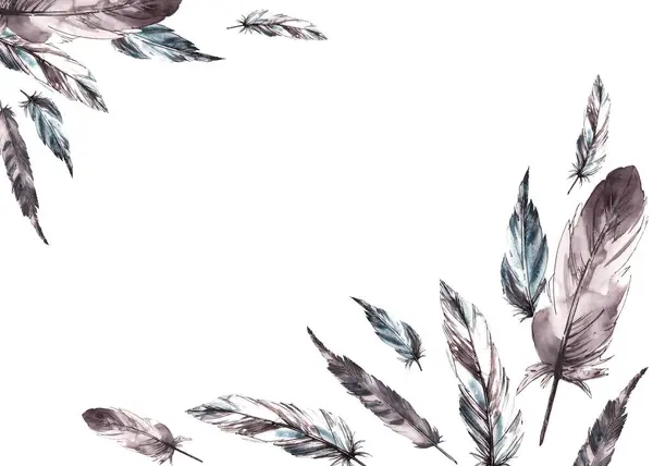 Akvarel Ručně Kreslený Monochromatický Banner Pták Šedé Šedé Černé Peří — Stock fotografie