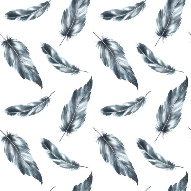 Tek renkli kuş tüylü suluboya desenli. Gri siyah renkli, gölgeli, süslemeli. Quill kanatları resim çiziyor. Duvar kağıdı sarma kumaşı izole edilmiş beyaz arkaplan
