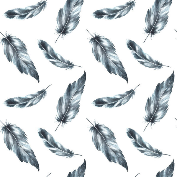 Акварель бесшовный узор с монохромными птичьими перьями серый черный цвет с грануляцией оттенков, орнаментов. Рисует крылья перьев. Обои обертывания ткани изолированный белый фон