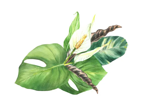 Экзотический Цветочный Букет Тропические Листья Бутон Белые Каллы Домашние Растения Стоковая Картинка