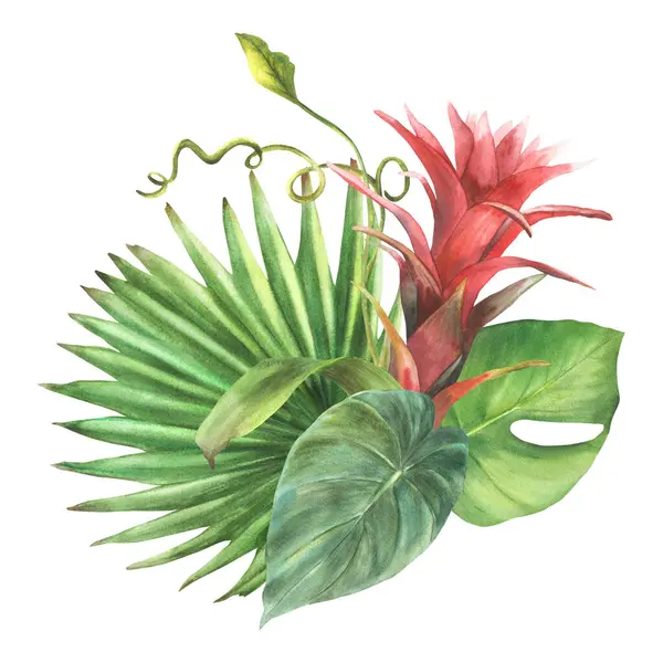 Тропический Букет Цветок Бромелии Пальмовый Лист Калатея Экзотический Ползунок Листья Стоковое Фото