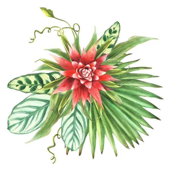 Тропические Листья Красными Цветами Пальмовый Лист Ползучий Букет Листвы Домашняя Лицензионные Стоковые Фото