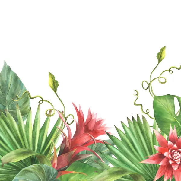 Тропічні Листя Квіти Банер Бромеліади Пальмовий Лист Калатея Екзотичний Перукар Ліцензійні Стокові Зображення