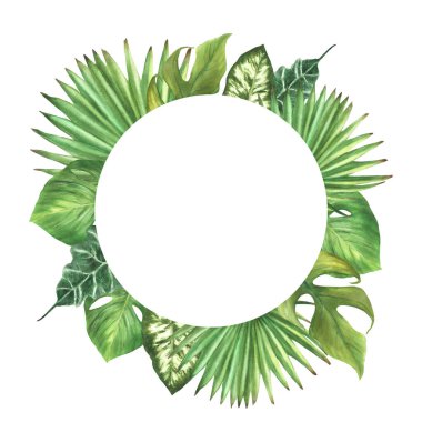 Tropik yeşil çelenk, egzotik ev bitkisi, canavar palmiyesi, sürüngen. Yaprak tiplerinin çeşitliliği daire çerçevesi. Botanik ormanı. Suluboya el çizimi çizimi. İzole edilmiş beyaz arkaplan. 