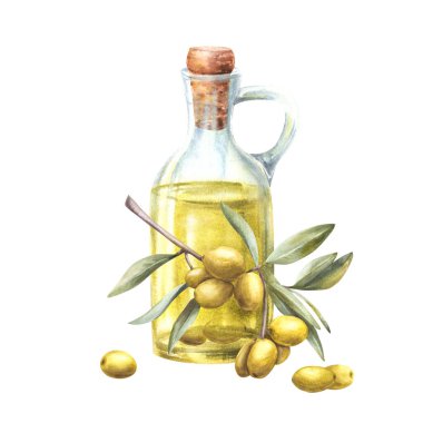 Cam şişede zeytinyağı, mantar ve yapraklı zeytin dalı. Yemek sosu etiketi, vejetaryen menüsü ve kozmetik için suluboya el çizimi. İzole Clipart beyaz arkaplan