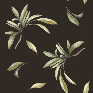 Zeytin dalı. Yeşil yaprakları pürüzsüz olan suluboya Akdeniz dalı. Botanik el çizimi, yiyecek yağı etiketi için çiçek tırpanı, izole edilmiş koyu arkaplanda duvar kağıdı baskısı