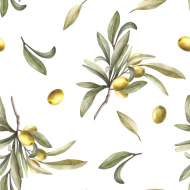 Yeşil yapraklı ve böğürtlenli suluboya zeytin dalı. El boyaması illüstrasyon. Yağlı gıda etiketi, ambalaj, kumaş, izole arka planda duvar kağıdı baskısı için botanik hasat.