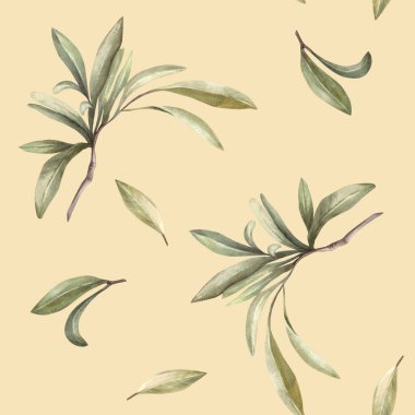 Zeytin dalı. Yeşil yaprakları pürüzsüz olan suluboya Akdeniz dalı. Botanik el çizimi. Yiyecek yağı etiketi için çiçek, izole edilmiş bej arka planda duvar kağıdı baskısı.