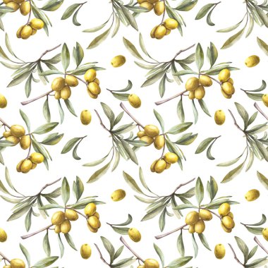 Yeşil yapraklı ve böğürtlenli zeytin dalı. Suluboya kusursuz desen. El boyaması illüstrasyon. Petrol gıda etiketi için botanik baskısı, çiçek kumaşı, yaz duvar kağıdı izole edilmiş beyaz arka plan.