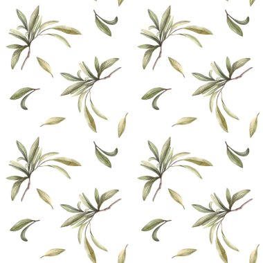 Zeytin dalı. Yeşil yaprakları pürüzsüz olan suluboya Akdeniz dalı. Botanik el çizimi. Yiyecek yağı etiketi için çiçek, izole edilmiş beyaz arka planda duvar kağıdı baskısı.