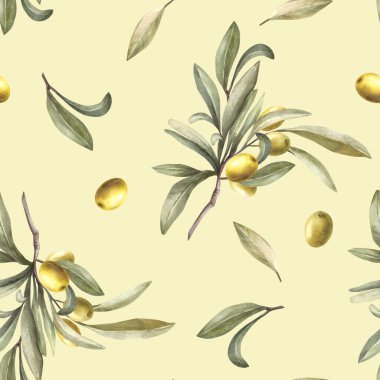 Yeşil yapraklı ve meyveli zeytin dalı suluboya desenli. Yağlı gıda etiketi paketleme, kumaş, izole edilmiş arkaplan üzerine duvar kağıdı için el çizimi Botanik baskısı