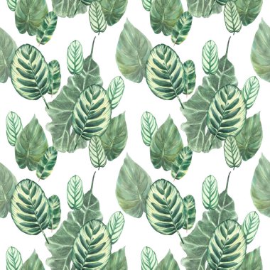 Tropik yapraklar. Yaz yeşili egzotik bitki yaprağı suluboya pürüzsüz desen. Orman bitkileri. Hawaii aloha tasarımı. Duvar kâğıdı, ambalaj, izole edilmiş beyaz arkaplan üzerine kumaş çizimi