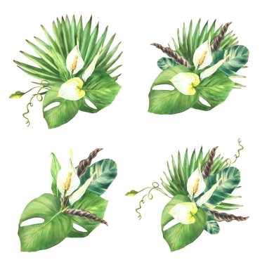 Bir buket tropikal yeşil yaprak, palmiye, Anthurium çiçeği. Egzotik bitki yaprağı bileşimi suluboya seti. Calla, yeşillik sarmaşığı botanik ormanı tırmanışı El izole arka planda resim çizdi