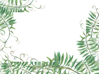 Fare bezelyesiz pankart. Yabani çiçeklere tırmanma planı. Suluboya çiçek çizimi. Çayır çimeni, elle boyanmış gerçekçi tebrik kartı, etiket için Clipart. arkaplandan izole.