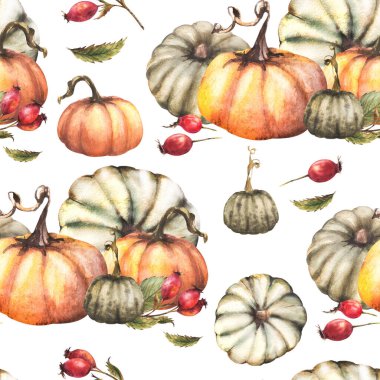 Yaban gülü kalçalı balkabakları, dikenli meyveler, dikişsiz gül desenleri. Arka plandan izole edilmiş. Sonbahar suluboya hasat illüstrasyonu. El çizimi Şükran Günü kumaş tasarımı, ambalaj, duvar kağıdı.