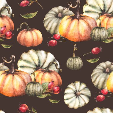 Yaban gülü kalçalı balkabakları, dikenli meyveler, dikişsiz gül desenleri. Sonbahar suluboya hasat illüstrasyonu. El yapımı Şükran Günü kumaşı, ambalaj, duvar kağıdı. Koyu arkaplanda izole. 