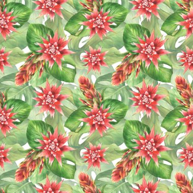 Tropik suluboya desensiz yeşil yapraklar ve kırmızı çiçekler yaz kumaşı. Bromeliad tomurcukları, egzotik yeşillikler. Botanik gerçekçi tasarım. İzole edilmiş beyaz arkaplana el çizimi. 