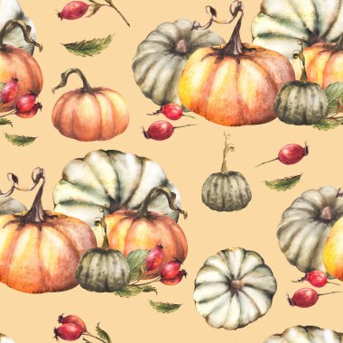 Gül kalçası, kireç, köpek gülü, dikişsiz dut desenli balkabakları. Sonbahar suluboya hasat illüstrasyonu. El yapımı Şükran Günü kumaşı, ambalaj, duvar kağıdı. İzole edilmiş pastel renkli arkaplan 