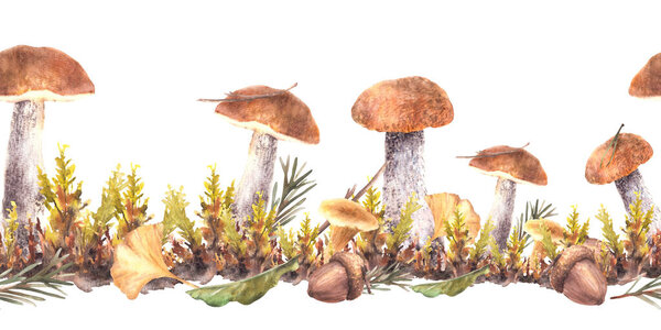 Mushrooms fall seamless border. Boletus orange cap with Chanterelle, moos, yellow green leaves and brown acorn. Fir branch, needles. Watercolor hand drawn pattern illustration isolated from background
