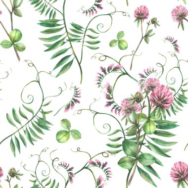 Fare bezelyeli yaban mersini, bitkiye kusursuz bir şekilde tırmanır. Yaban çiçekleri suluboya El çizimi. Çayır yabani otlar sürüsü. Çiçek açan yaz kumaşı izi arkaplandan izole edildi 