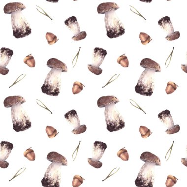 Sonbahar hasat şablonu kusursuz. Suluboya mantarlar, ladin iğneleri ve meşe palamudu. Orman el yapımı Porcini, kahverengi şapkalı Boletus, mantar. Sonbahar dağılımı Resimleri izole edilmiş beyaz arkaplan