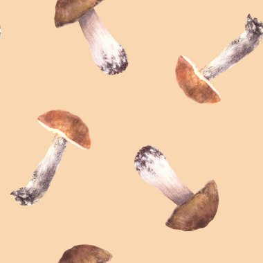 Suluboya mantarlar dikişsiz desen. Yenilebilir mantar orman hasadı. El yapımı Porcini, Turuncu ve kahverengi şapkalı Boletus, Fall clipart kumaş çizimi izole edilmiş renkli arkaplan