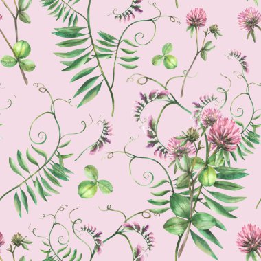 Yonca pembe çiçek. Fare bezelye tarlası bitkisinin pürüzsüz deseni. Yaban çiçekleri buketi, suluboya el çizimi. Çayır otları, çiçekli yaz kumaşı, yalıtılmış gül arka planında duvar kağıdı. 