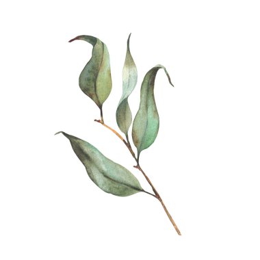  Çiçekli davetiye tasarımı stili, tebrik kartı, desen. El çizimi resimleme arkaplandan izole