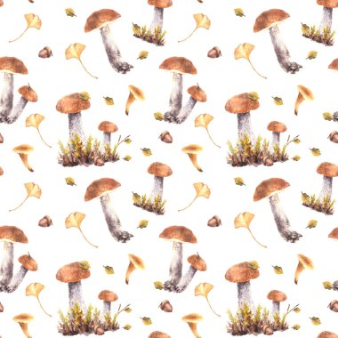 Mantarlar dikişsiz kalıyorlar. Chanterelle, Moos, sarı yeşil yapraklar ve kahverengi meşe palamudu ile boletus turuncu şapka. Sonbahar hasadı. İzole edilmiş beyaz arkaplanda suluboya el çizimi deseni çizimi