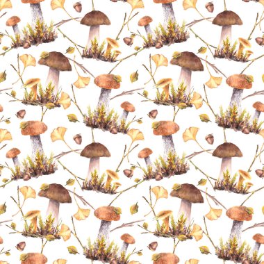 Mantarlar pürüzsüz. Boletus kahverengi şapka, Porcini, sarı yapraklı Chanterelle. Vahşi orman hasadı. Sonbahar paketi. İzole edilmiş beyaz arkaplanda suluboya el çizimi