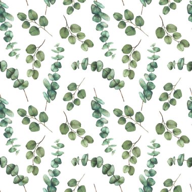 Eucalyptus twigs. Green plant branches Watercolor seamless pattern with round Leaves hand drawn botanical illustration for wedding, floral wallpaper, natural fabric design isolated white background  clipart