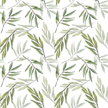 Olive tree branch, fruitless Green leaves twigs seamless pattern. Botanical floral Watercolor Hand drawn greenery in realistic style illustration for wallpaper, fabric print. Isolated white background clipart