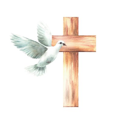 Tahta haçlı beyaz güvercin. Uçan kuş güvercini, barışın ve Hıristiyan dininin sembolü. Vaftiz, vaftiz ya da ilk komünyon kartı için suluboya el çizimi. Arka plandan izole edilmiş