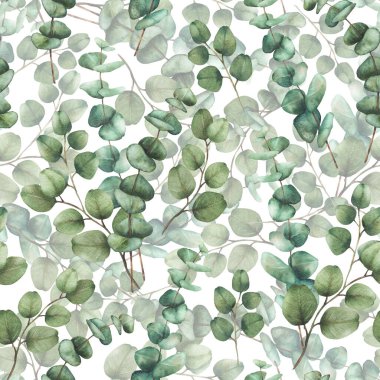 Suluboya okaliptüs bitkisi, dikişsiz desen. Yeşil gümüş dolar okaliptüs ağacı dalları, yuvarlak yapraklarla el çizimi kumaş için botanik illüstrasyon, duvar kağıdı izole edilmiş beyaz arkaplan 