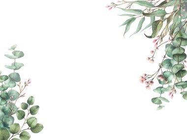 Okaliptüs tohumlu, gümüş dolarlık ağaç bitkisi. Pembe tomurcuklu ve çiçek dikdörtgen pankartlı Laurel dal ve dal. Botanik suluboya kart şablonu, el çizimi resimleme arkaplandan izole 