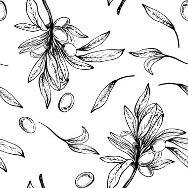 Zeytin dalı, yapraklar ve böğürtlenler dikişsiz desen. Botanik el çizimi vektör doğrusal çizim çizimi. Kumaş, paket, duvar kağıdı, yiyecek ambalajı için çiçek tırpanı. Arka plandan izole edilmiş