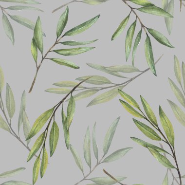 Yeşil yapraklı, suluboya dikişsiz zeytin dalları. Botanik bölümü. El çizimi yeşillik gerçekçi illüstrasyon duvar kağıdı, kumaş izole gri arkaplan