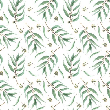 Okaliptüs tohumlu bitki dalı ve dikişsiz yapraklar. Yeşil yapraklı suluboya çiçek deseni kumaş, tekstil, duvar kağıdı için çizilmiş. İzole edilmiş beyaz arkaplanda bitkisel tasarım 