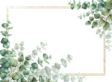 Okaliptüs yaprakları ve dalları altın çerçeveli. Suluboya el, çiçekli afiş çizmiş. Çerçeve, düğün davetiyeleri için şablon, tarihi ya da tebrik kartlarını kaydet. Arka plandan izole edilmiş